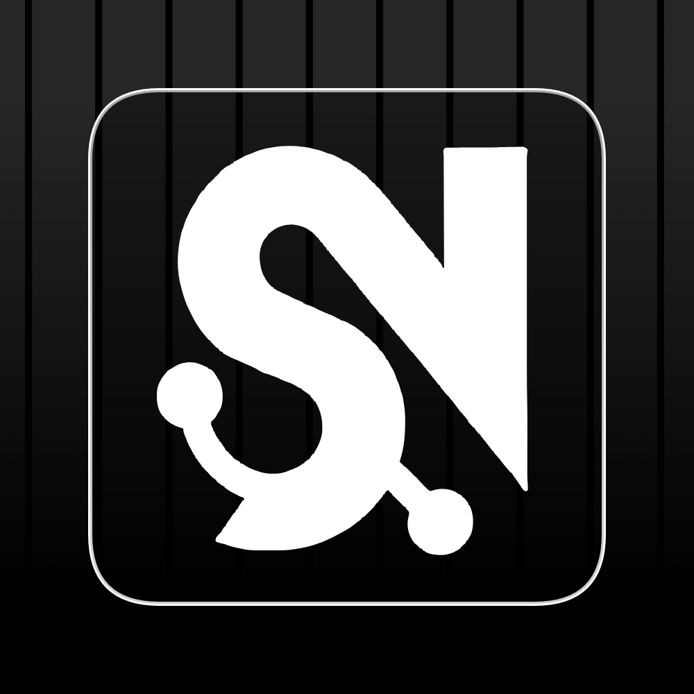 Skyzer Networks is more than an agency